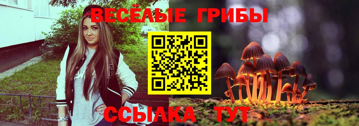 Куйбышев  Галлюциногенные грибы мицелий  Вход с VPN 
